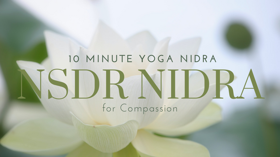 NSDR Yoga Nidra 10 minute 🧡 for Compassion
